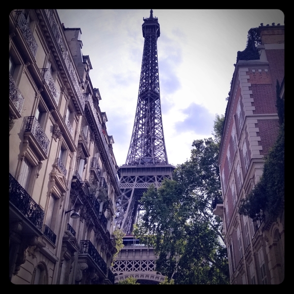 Meet PoshAmbassador, Jenga - Picture 3 of 16